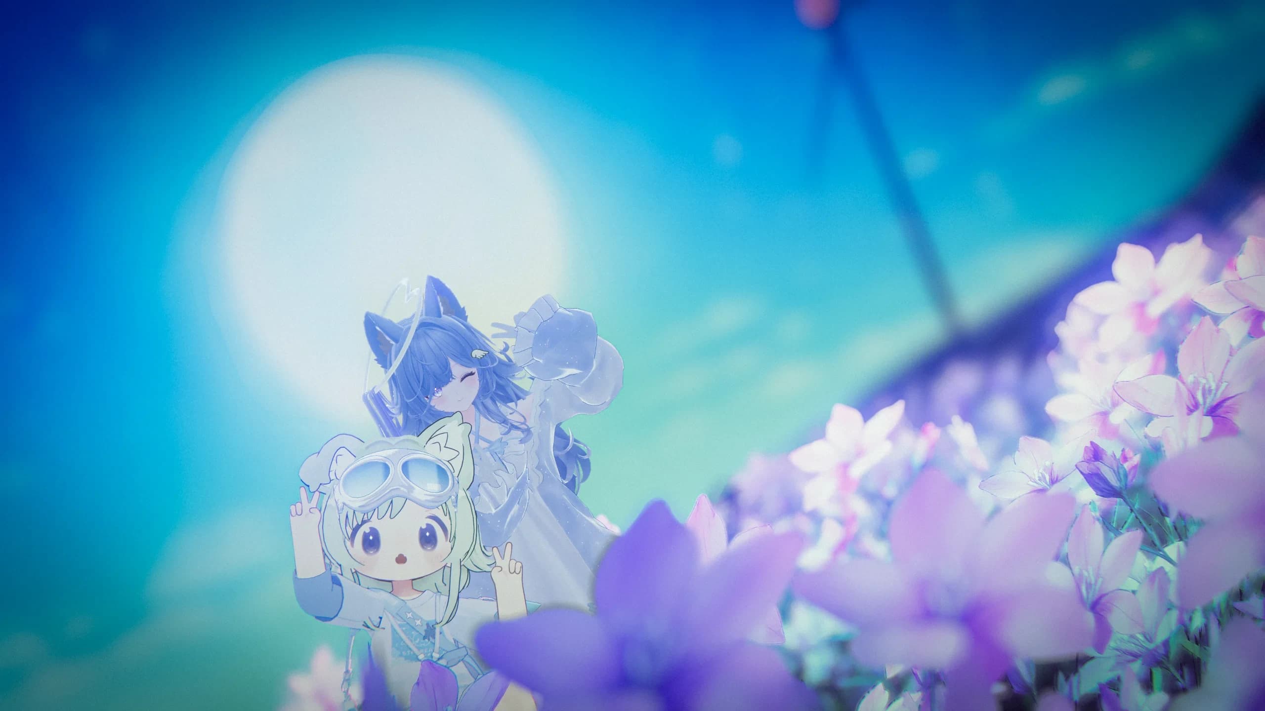 ラズリちゃんを迎えたよ！ 5