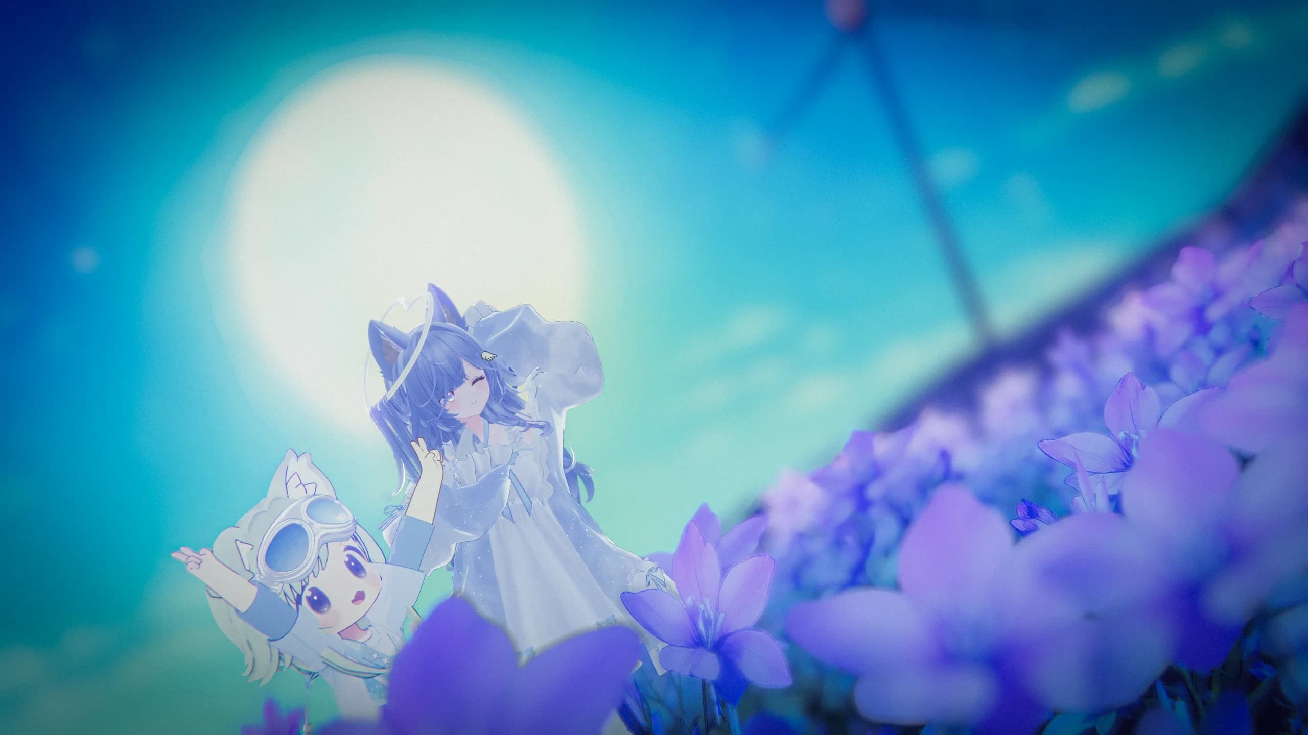 ラズリちゃんを迎えたよ！ 6
